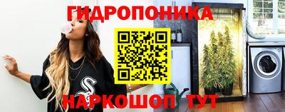дмт Сланцы
