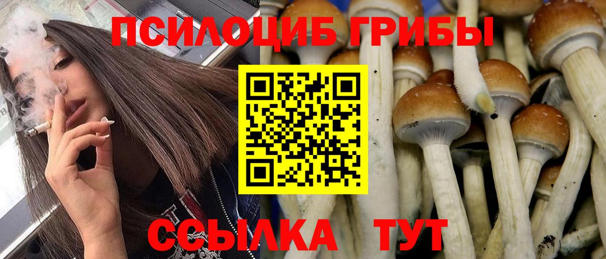 Нефтеюганск  Галлюциногенные грибы Psilocybine cubensis  цены наркотик  Вход с VPN 
