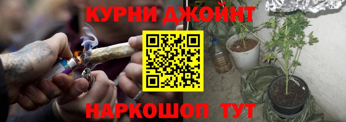Каннабис сатива Нефтеюганск